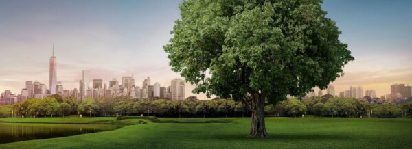 mision-vision-valores-hotel